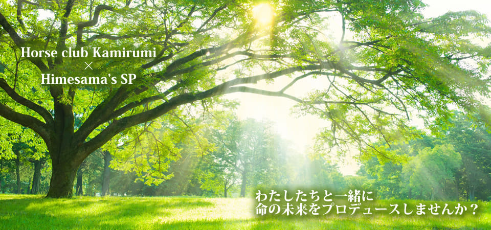 ホースクラブかみるみ【神留弥】　引退競走馬のセカンドライフを　あなたの手で